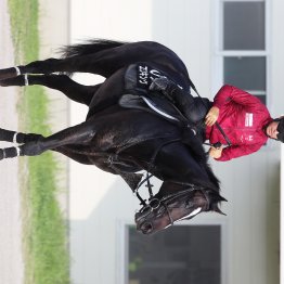 【勝羽の日曜競馬コラム・神戸新聞杯】