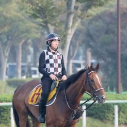【市川の日曜競馬コラム・オールカマー】