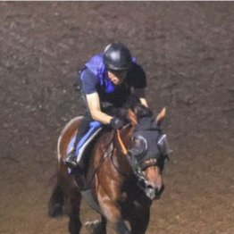 【新居の日曜競馬コラム・オールカマー】
