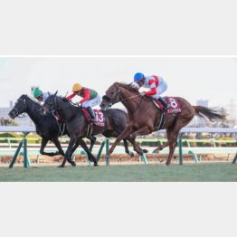 同舞台のAJCCではダノンデサイルの③着の好走