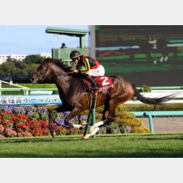 22年は4歳牝馬ジェラルディーナが完勝
