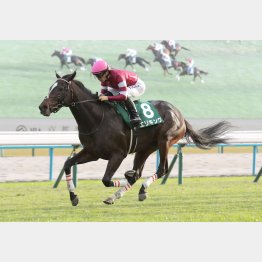 京都2歳S以来の重賞Vを狙う