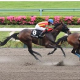 【レスキュー隊の日曜競馬コラム・中山12Ｒ】