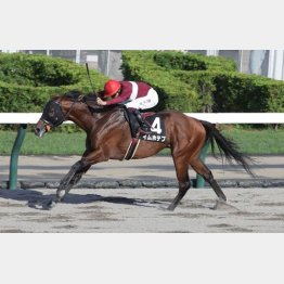 3勝クラスも通過点