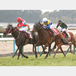 今年の京都記念で重賞3勝目