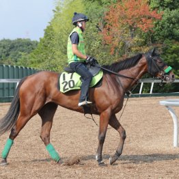 クランズクラウン　牝・杉山晴紀厩舎