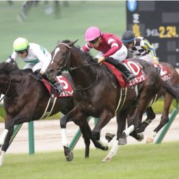 【神戸新聞杯】エリキングが差し切って秋初戦で好発進