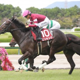 神戸新聞杯で完勝のエリキングより、血統的に本番の菊花賞で狙いたいのは