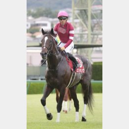 ①着エリキング(川田騎手)「これだけの走りができたのはありがたい収穫です」