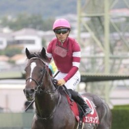 【神戸新聞杯】レース後の談話（ネットオリジナルを含む）