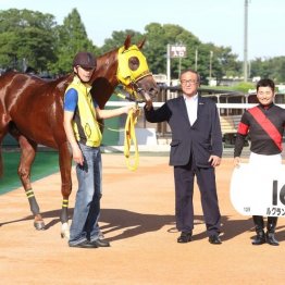 〈115〉先日、ＪＲＡ通算100勝を達成したばかりの原優介騎手（４）