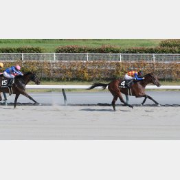 前走の名古屋城Ｓを圧勝