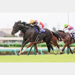 昨24年は前２走①→⑩着の９番人気ルガルが戴冠
