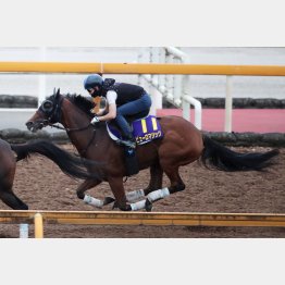 水曜はＣＷで１Ｆ11秒０
