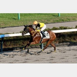 連勝を狙う