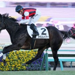 【新居の土曜競馬コラム・秋風Ｓ】