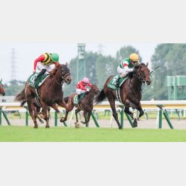 新潟２歳Ｓでも②着の実績がある