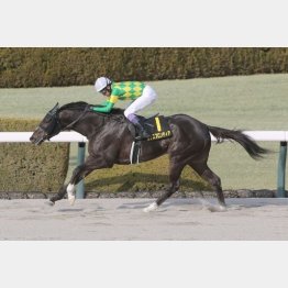 仁川Ｓでオープン初勝利