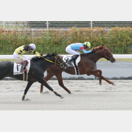 好メンバー相手に新馬勝ち