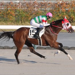 【大阪本紙・弘中の土曜阪神12Ｒ】