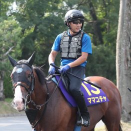 【スプリンターズＳ】出走全馬の特選情報