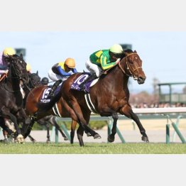 モレイラとのコンビで高松宮記念を制覇