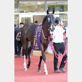 セントウルS勝ちで重賞2勝目