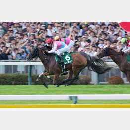 差し競馬が板についてきた