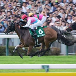 【勝羽の日曜競馬コラム・スプリンターズＳ】