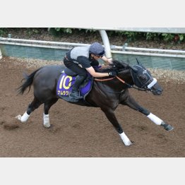 人気の一角ルメール騎乗のナムラクレアは……