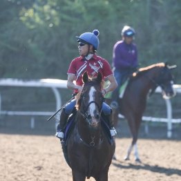 【飯島の日曜競馬コラム・スプリンターズＳ】