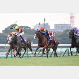 ２３年は４歳が①～③着を独占