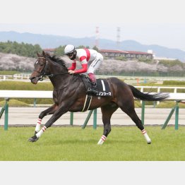 初の二千四百㍍の２走前を完勝