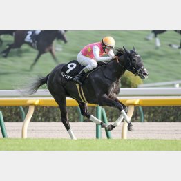 白秋Ｓ以来のＶを狙う