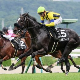 【東京本紙・外山の日曜中山10Ｒ】