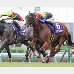 ２年前はマッドクールに鼻差勝ち