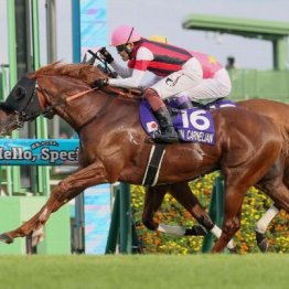 【スプリンターズＳ】秋ＧⅠ初戦は波乱の決着　８歳ウインカーネリアンがＧⅠ初制覇