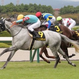【ポートアイランドＳ】ヤマニンサンパ差し切り