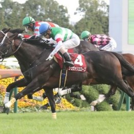 【京都大賞典】今年はフルゲートの大激戦