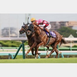 前２頭で決まった
