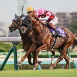 手が届かない１３０万馬券ではなかった…