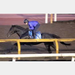 ディープモンスターは馬なり単走で１Ｆ１１秒７