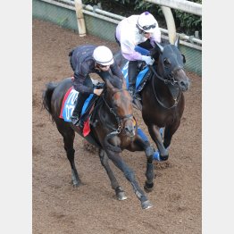今週も横山和が騎乗したサブマリーナ（左）