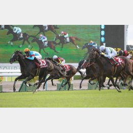 20年は宝塚⑰②着馬のワン・ツー