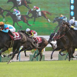 【京都大賞典】データ作戦　宝塚記念組が断然