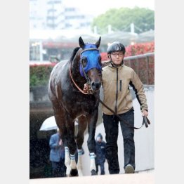 ダート３戦目で勝機