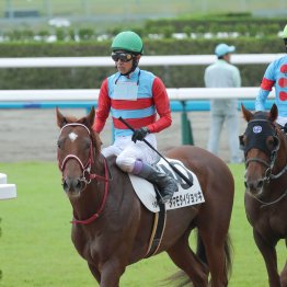 【播磨の土曜競馬コラム・大山崎Ｓ】