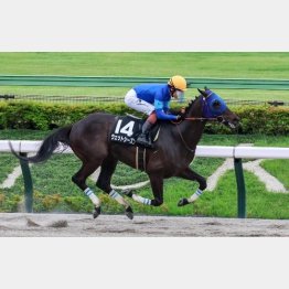 前走は５馬身差の圧勝