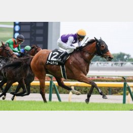 ６月に東京でＶ
