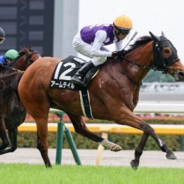 【新居の土曜競馬コラム・白秋Ｓ】